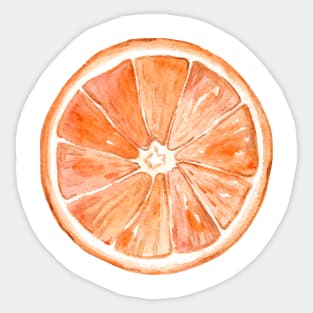 Orange fruit Sticker